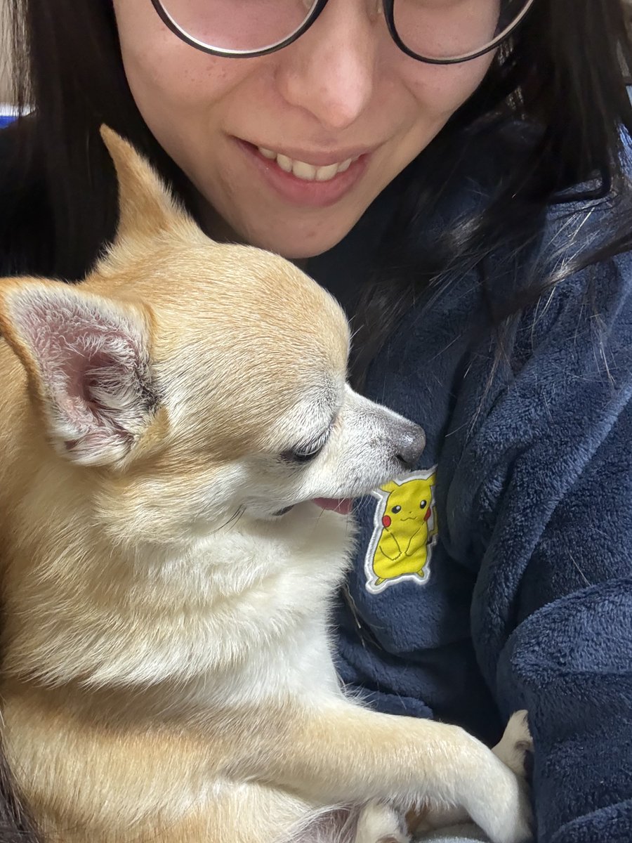 HT@🐶🐎 tweet media