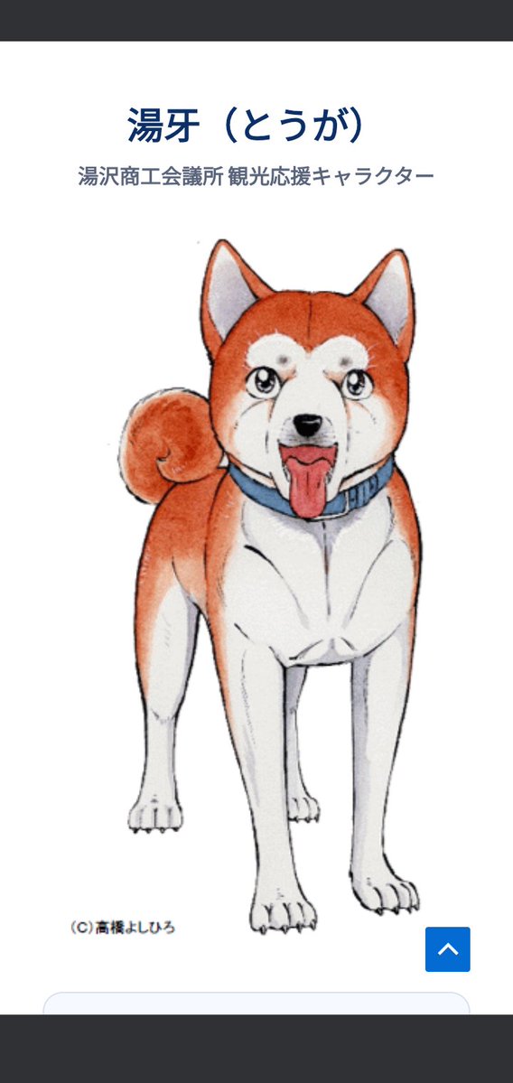 おとど tweet media