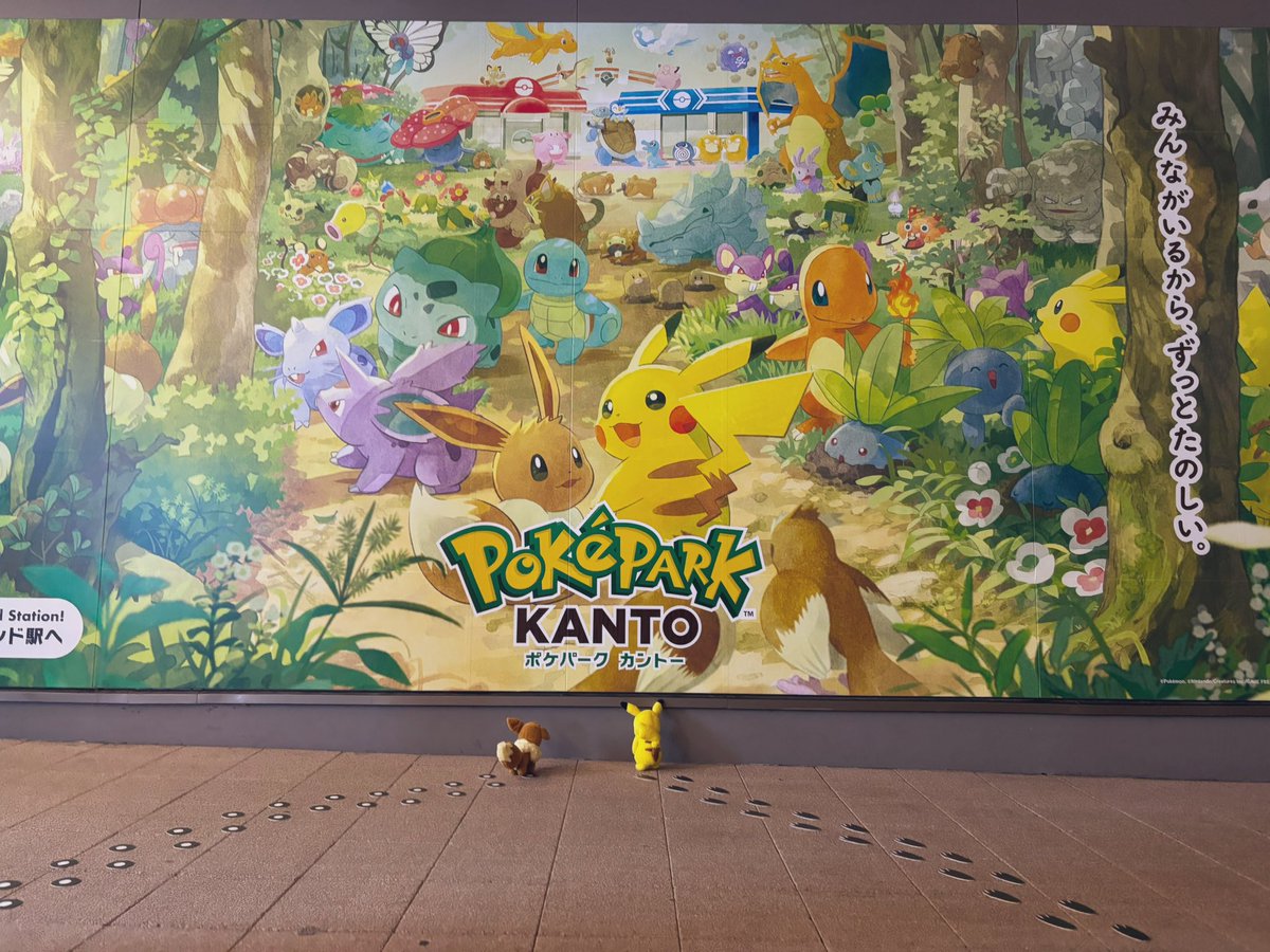 ブラッキー信仰者 tweet media