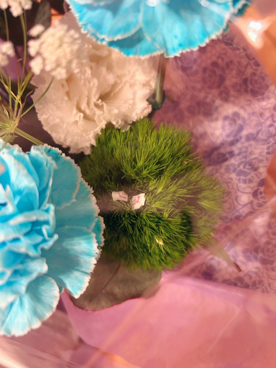 きゃな tweet media