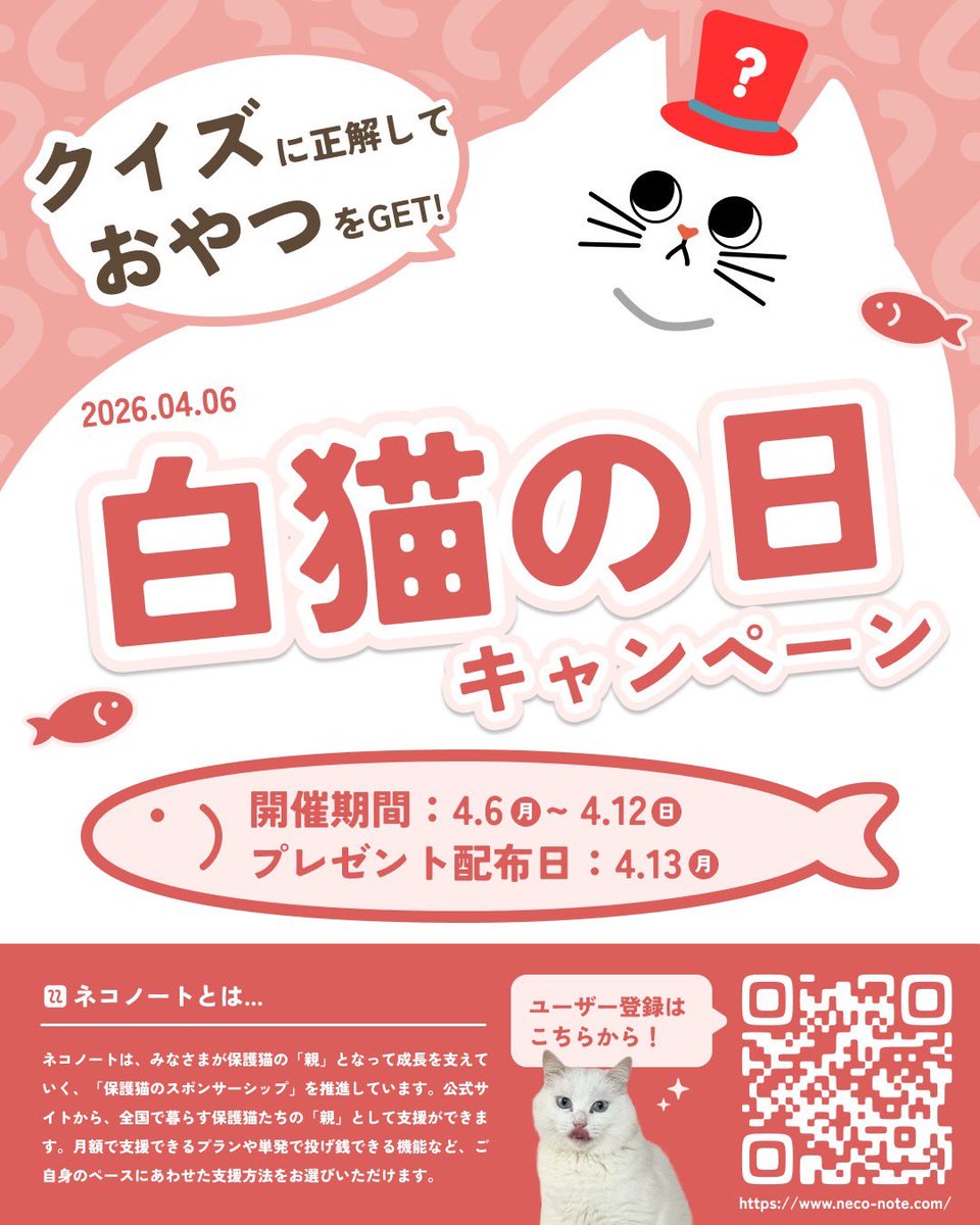 ネコノート【公式】保護猫支援サービス🐈 tweet media