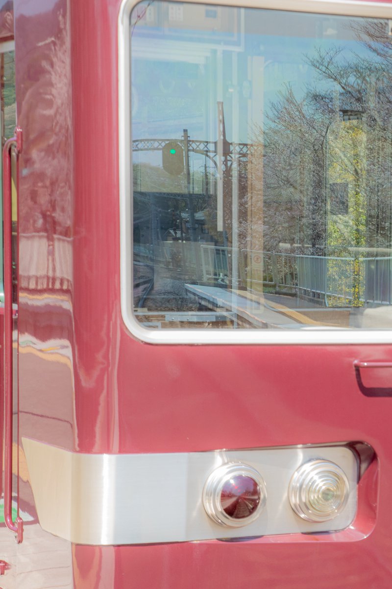 普ぅ。 tweet media