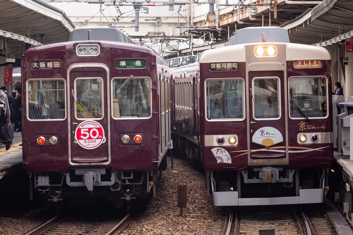 普ぅ。 tweet media