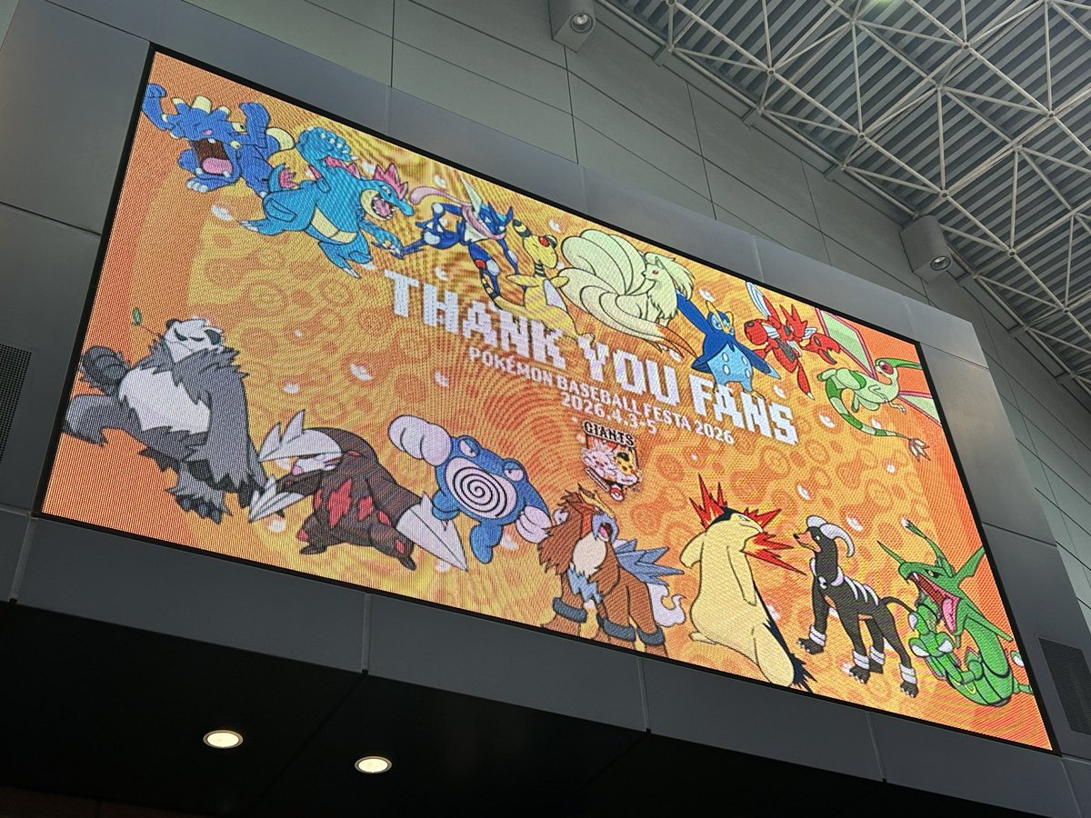 yachi 🦭 tweet media