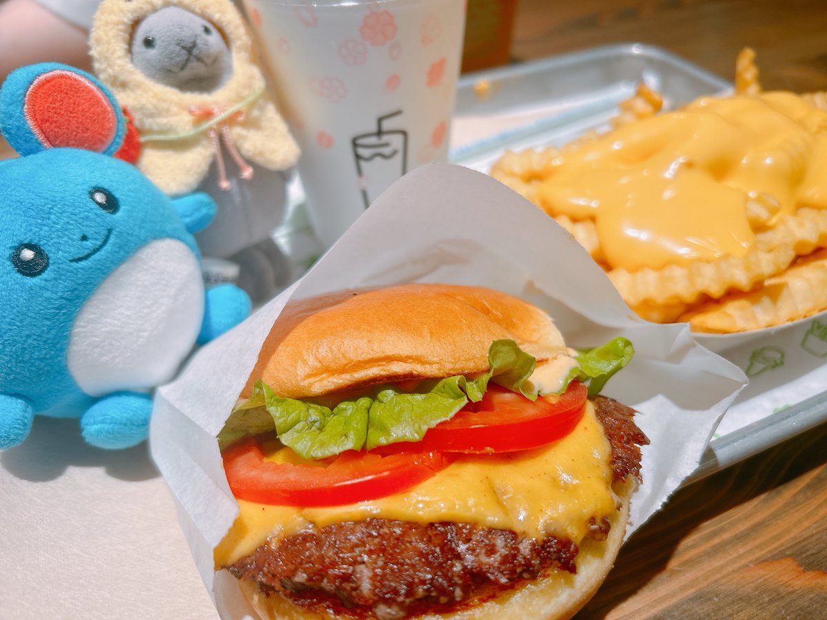 yachi 🦭 tweet media