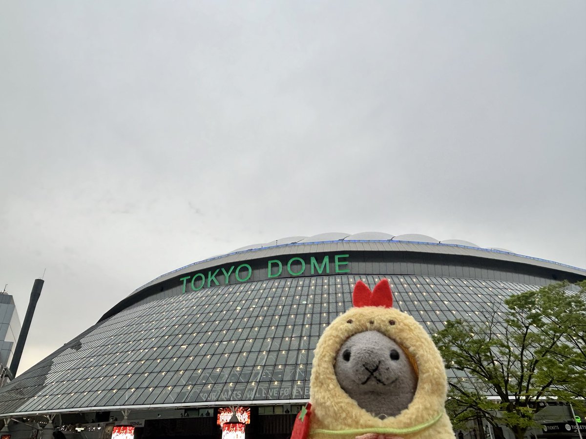 yachi 🦭 tweet media