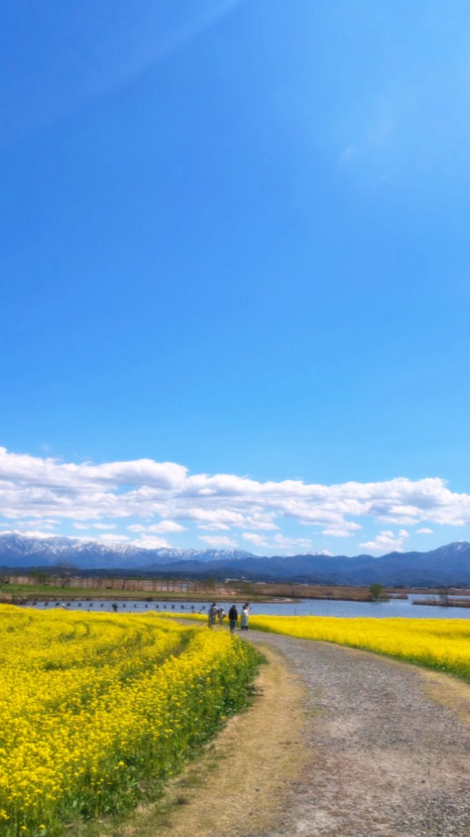 hj_zda's tweet photo. 春
 #桜 https://t.co/D12DDxPY8e
