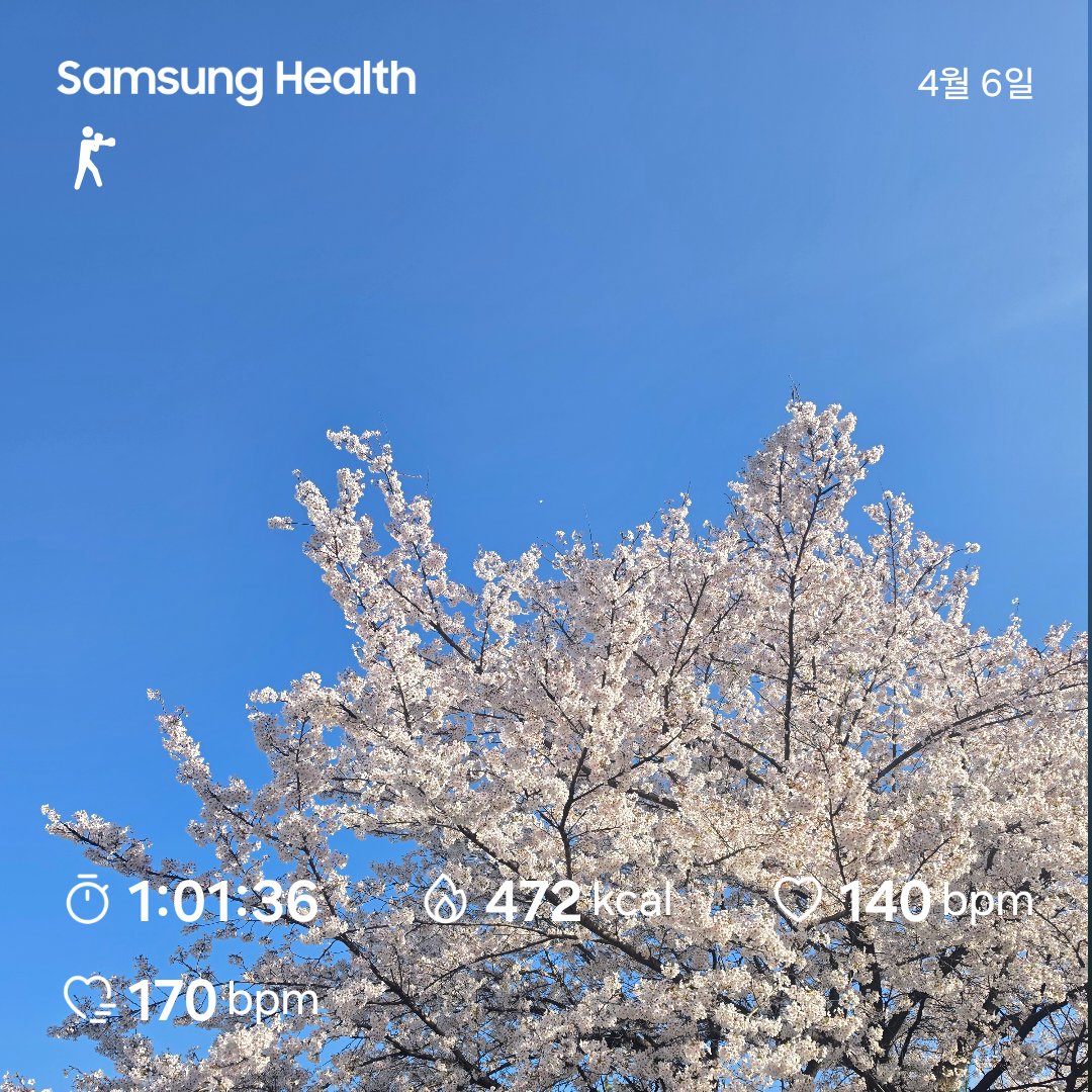 남필봉 tweet media