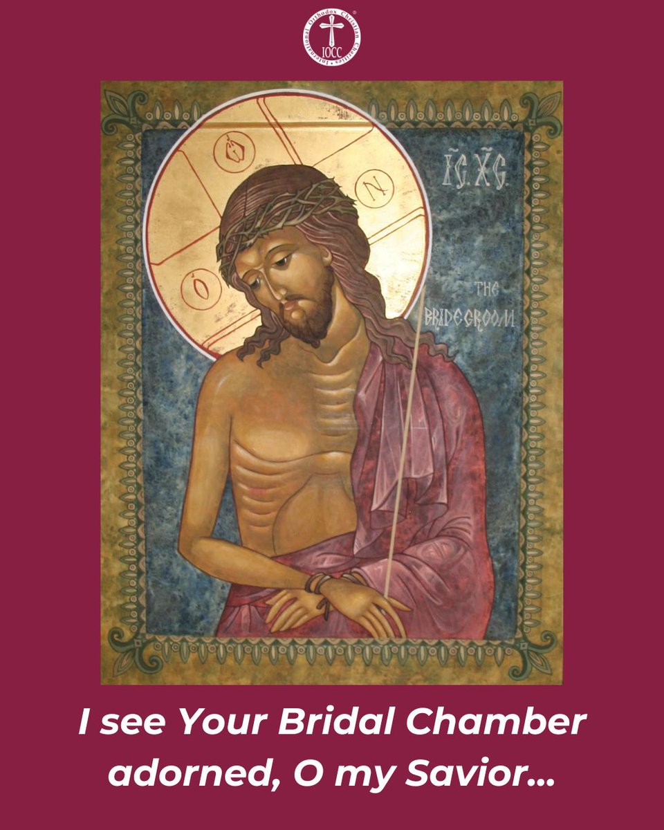 IOCC Relief tweet media