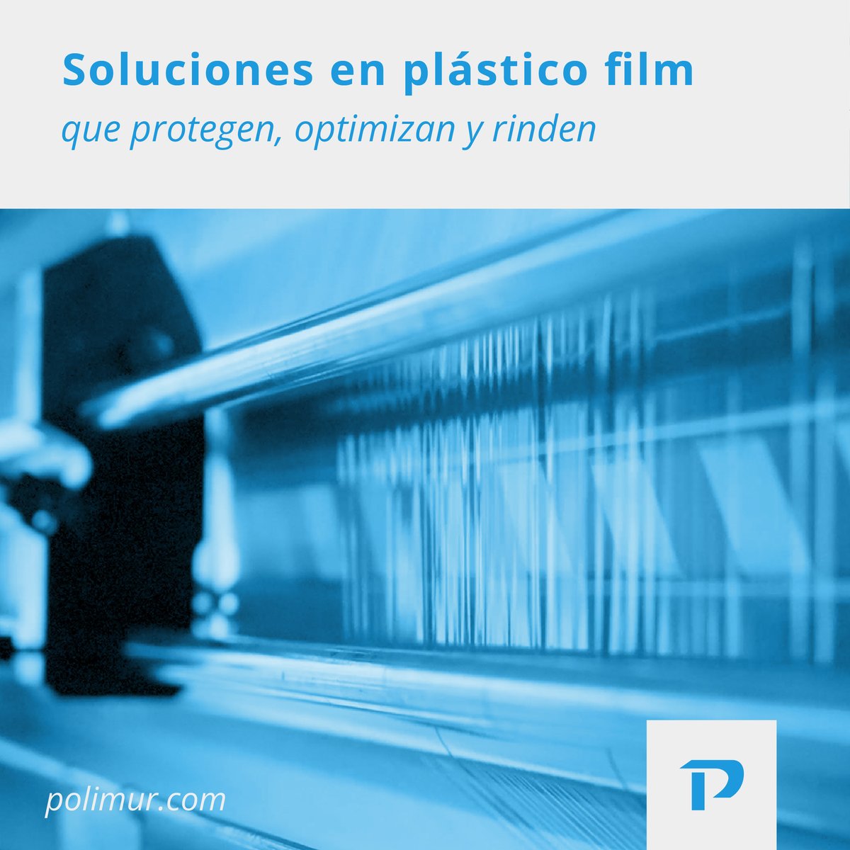polimurSA's tweet photo. En Polimur desarrollamos soluciones en plástico film adaptadas a diferentes sectores.

Nuestros productos están diseñados para:
✅Protección y eficiencia
✅Calidad y sostenibilidad
✅Soluciones personalizadas

 Polimur, envuélvete con nosotros.
 https://t.co/JaVaUoe51n https://t.co/EZ8v5564nf
