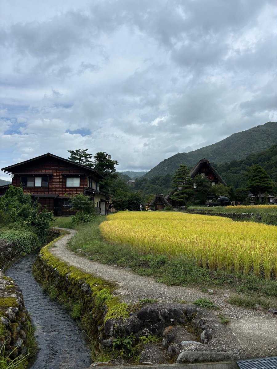 beautyexplorer0's tweet photo. Japanese Countryside https://t.co/YkhHv7ODMK