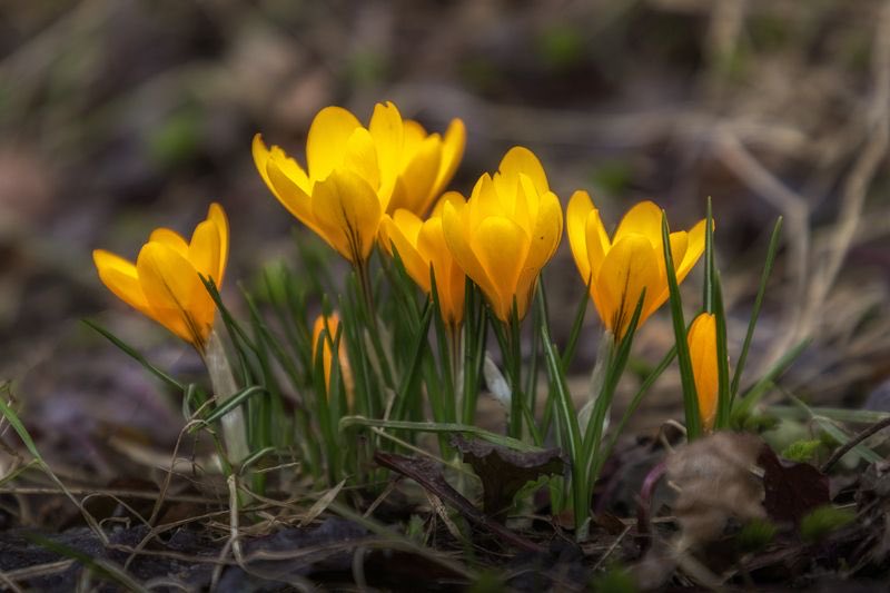 𝑀𝒶𝓇𝒾 𝒟𝒶𝓎𝓈𝒾 tweet media