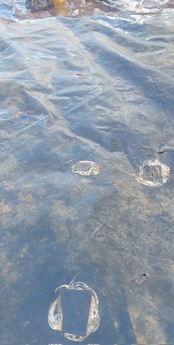 🇰🇪The Rustic Garden tweet media