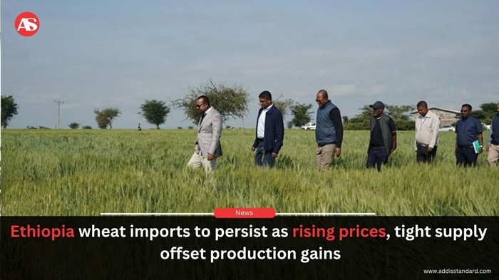 Addis Standard tweet media