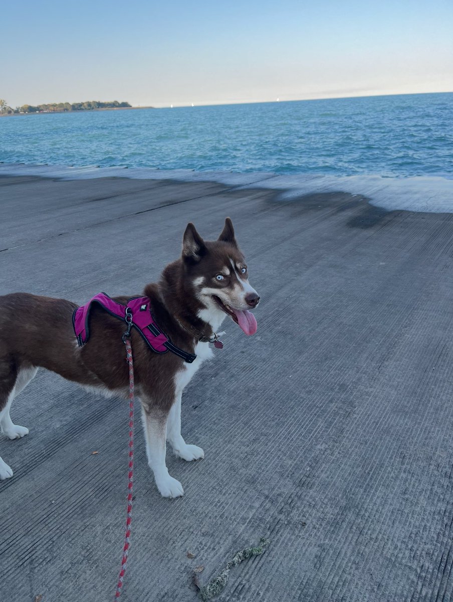 Michigan Metal 〽️ tweet media