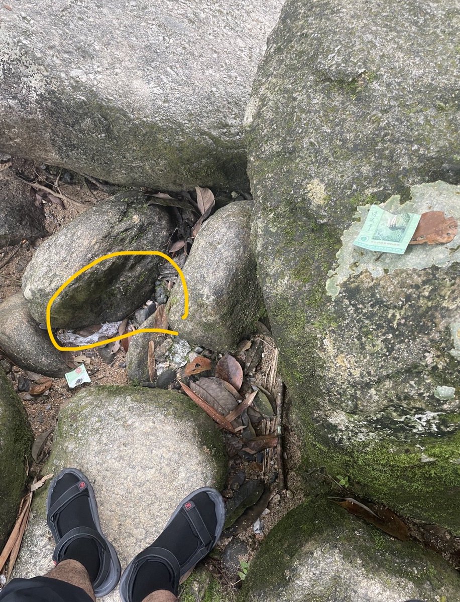 漂向北方 tweet media