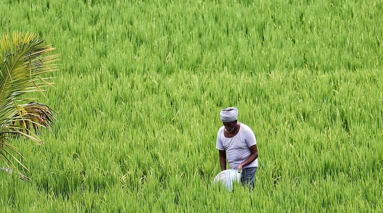 airnewsalerts's tweet image. Summer crop sowing has covered over 58 lakh hectares across the country as of April 3. 

@AgriGoI has said that summer sowing has seen strong growth this season. #Rice has been sown over 30 lakh hectares, while pulses cover 8 lakh hectares.

#Pulses have recorded an increase,