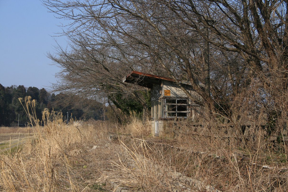 はまち tweet media