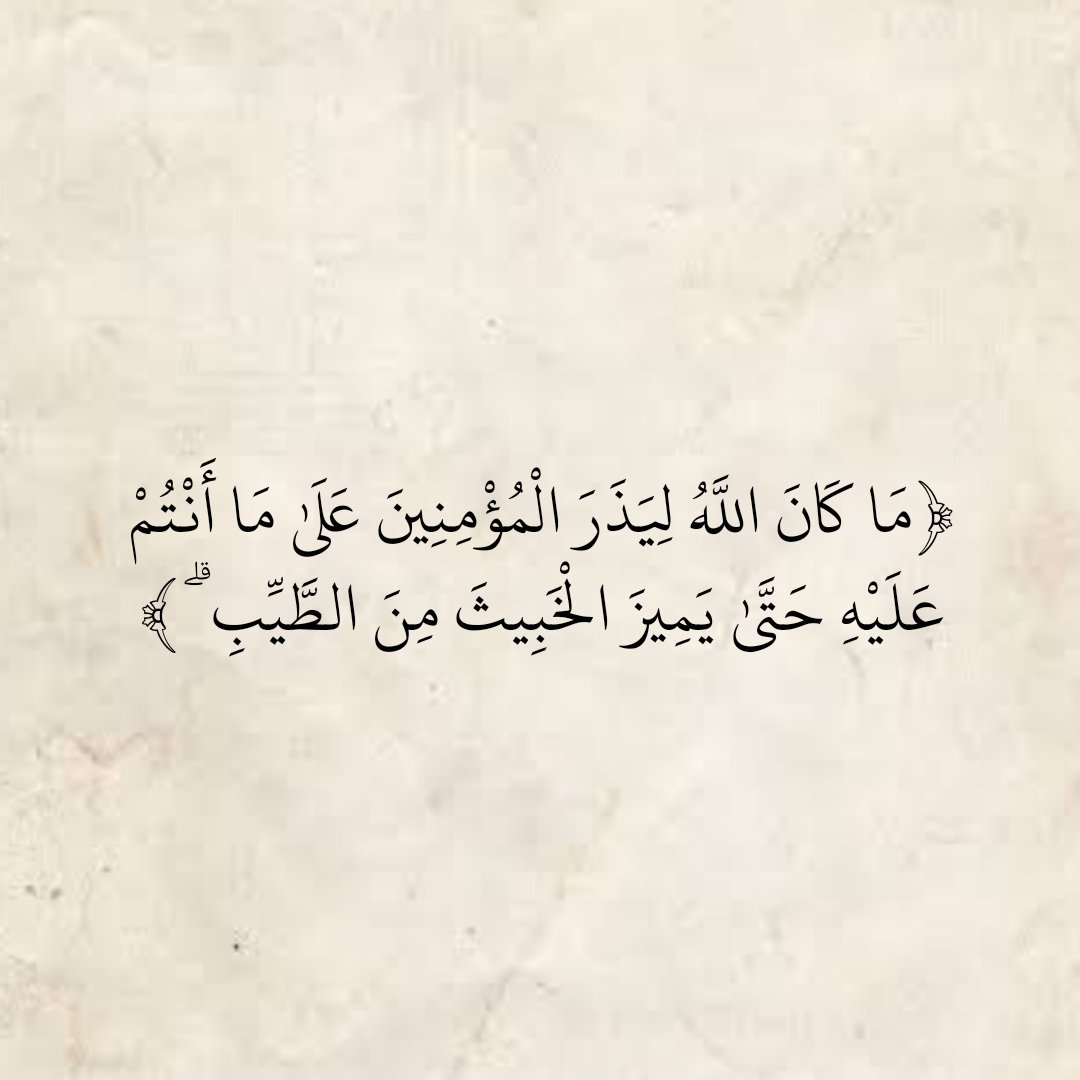 المُصْحَف tweet media
