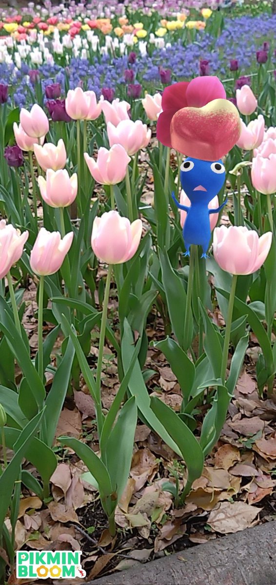 Golden Piony 🌱🐉🪄 tweet media