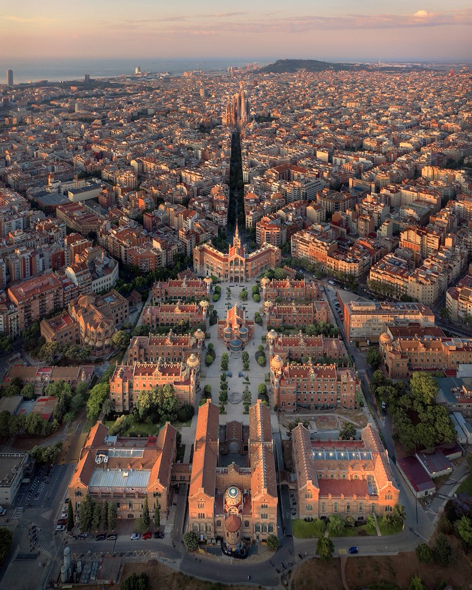 WORLD VIEW tweet media