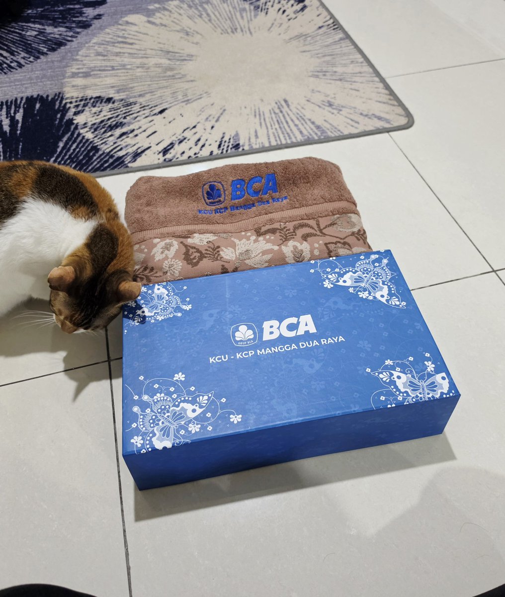 ルトフィ Iuhtpi tweet media