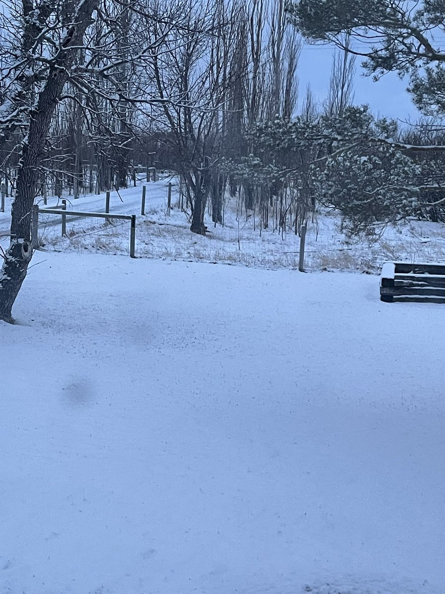 HouckisPokisewx's tweet image. Merry Easter 🐣 #Brooks