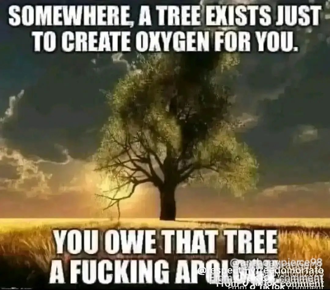 Grudgemosis Jones! tweet media