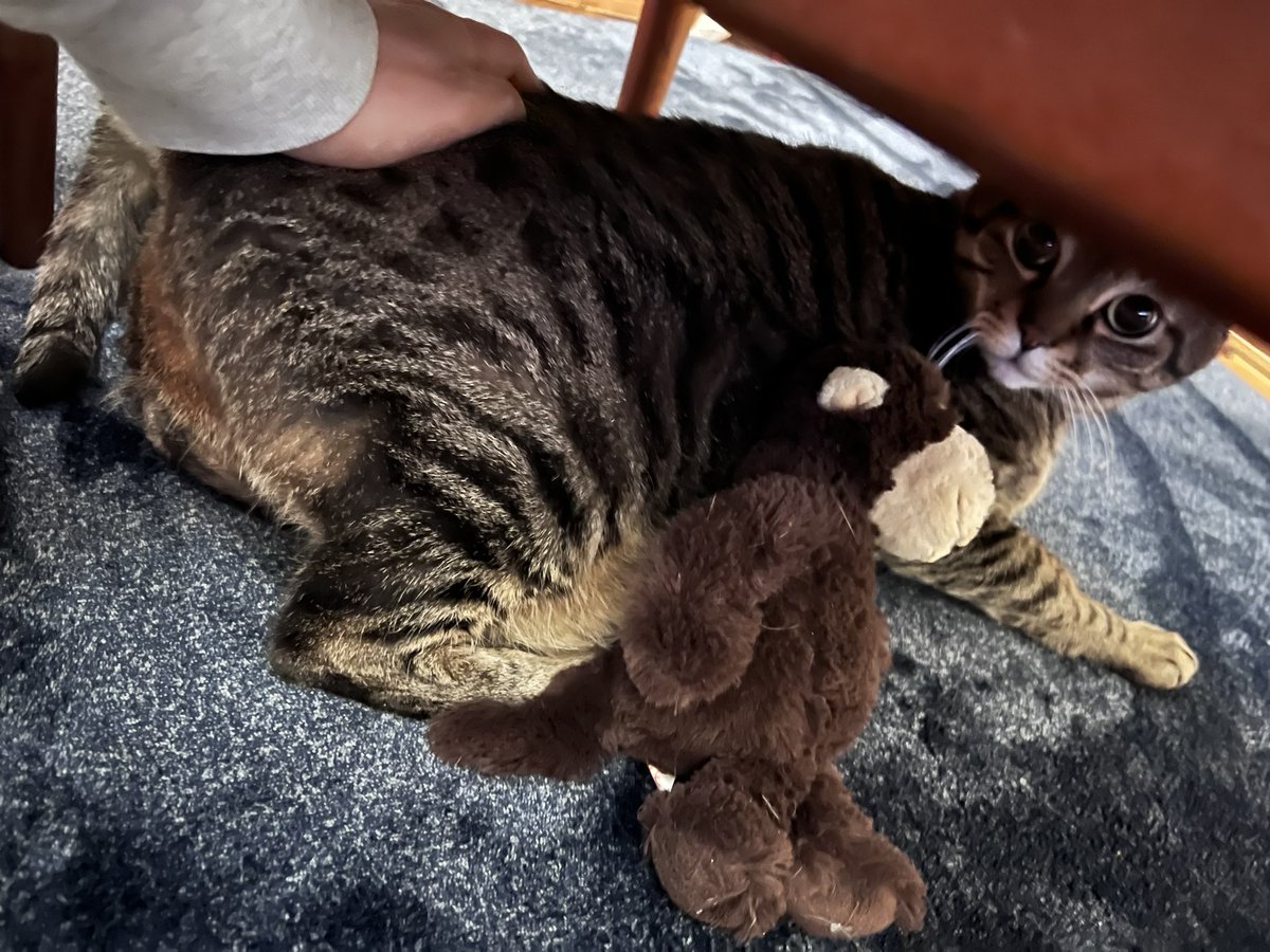 宗方脩 tweet media