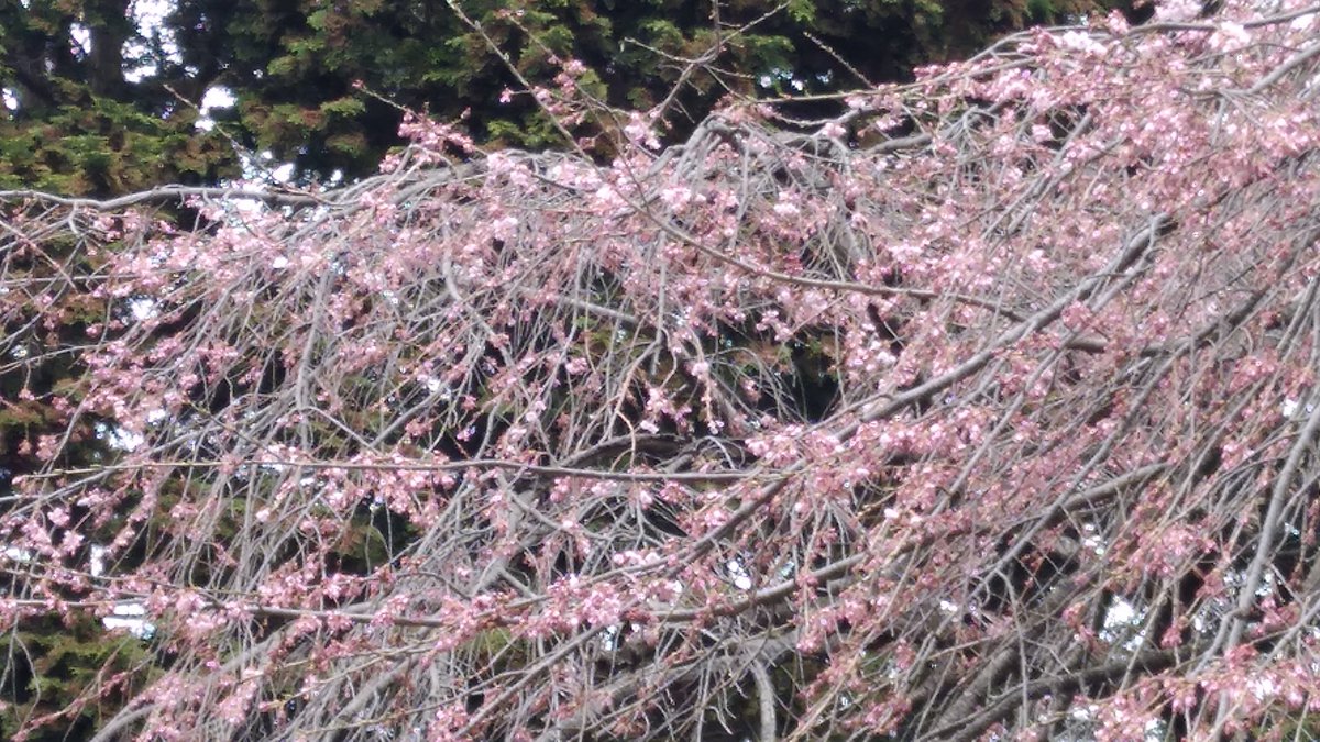 神山浩樹(IBCアナウンサー) tweet media