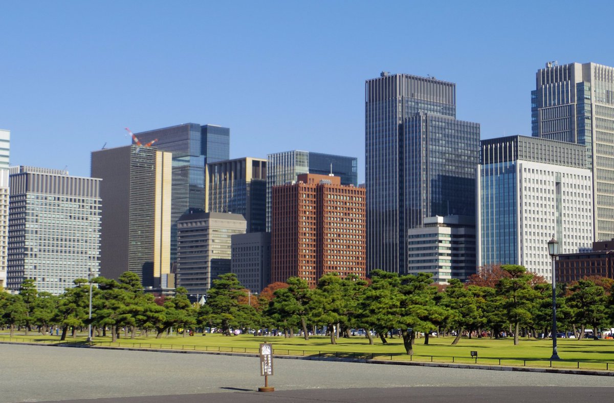 デューク🇯🇵 tweet media