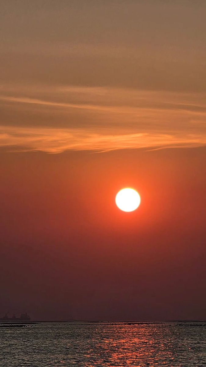 ALMOND FACTORY OFFICIAL tweet media