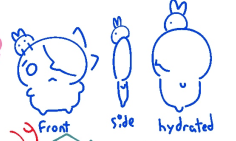 Mochigram 🍡 tweet media