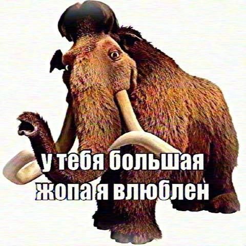 закат 25.1 fm tweet media