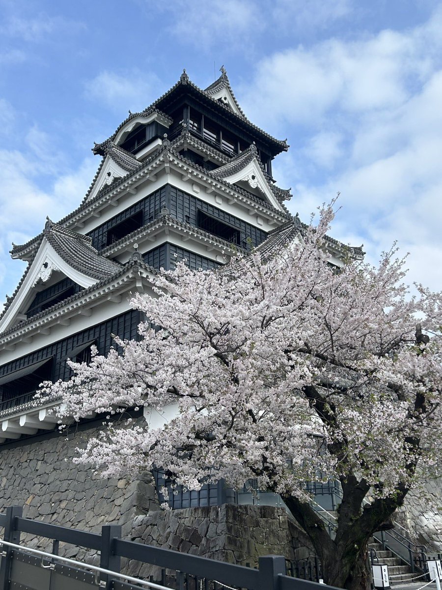 yuta @⚡️お盟主𝕏 tweet media