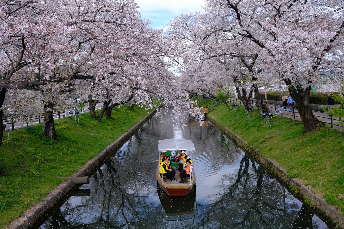 Haiyue Song tweet media