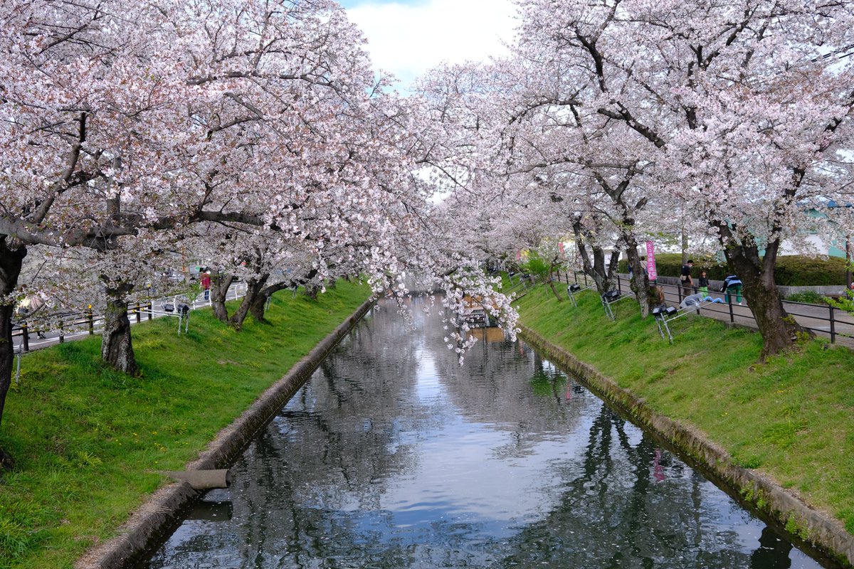 Haiyue Song tweet media