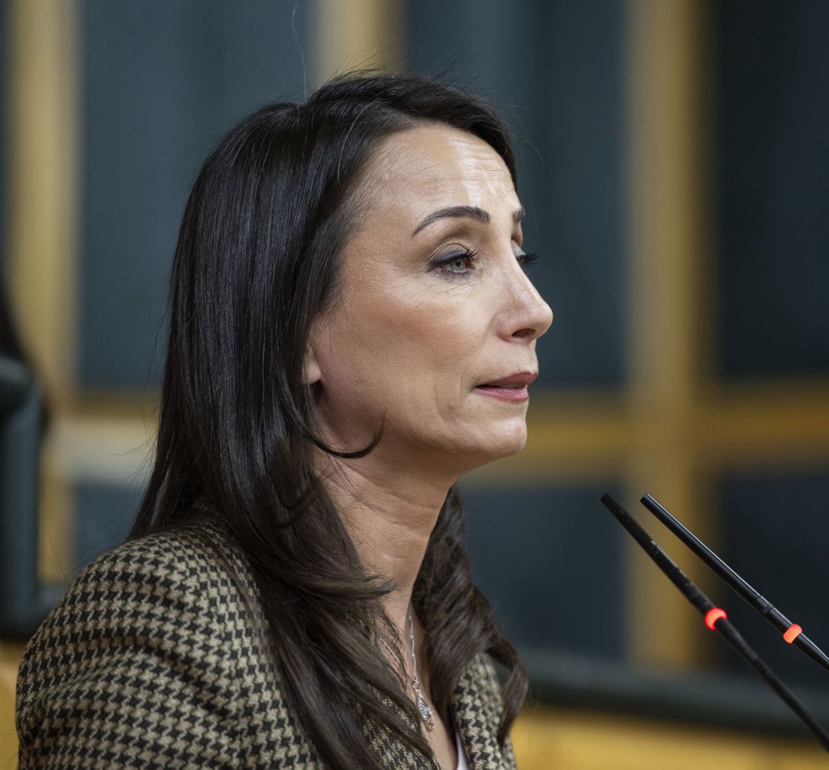 Daily Türkist tweet media