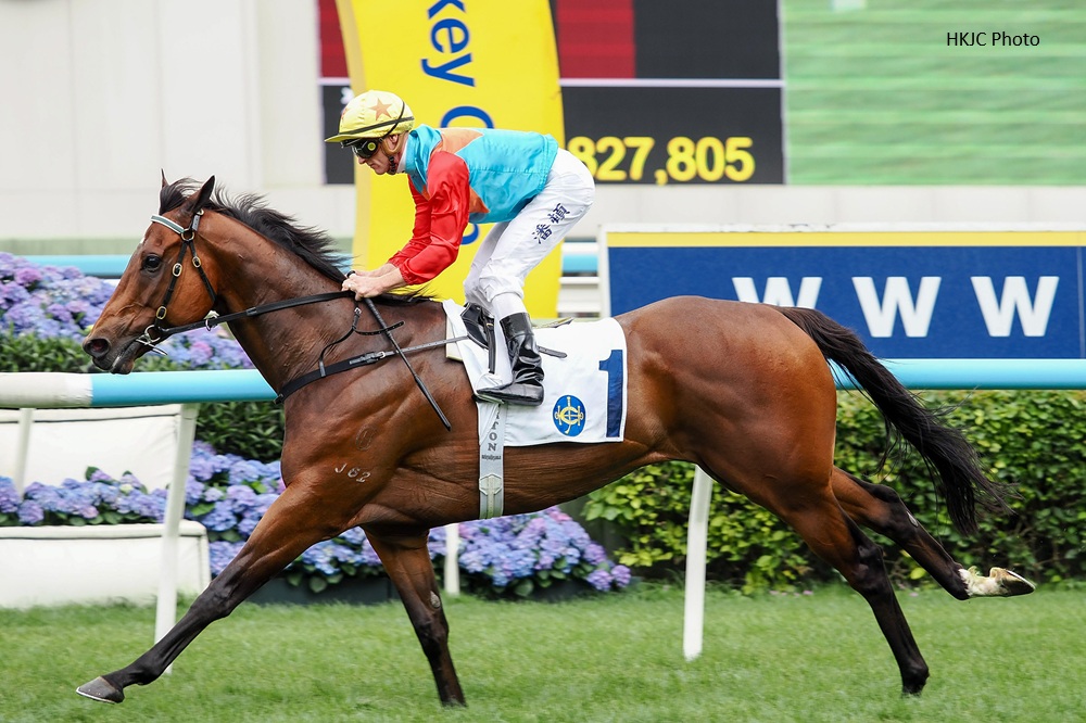 IFHA's Longines World's Best Racehorse Rankings tweet media