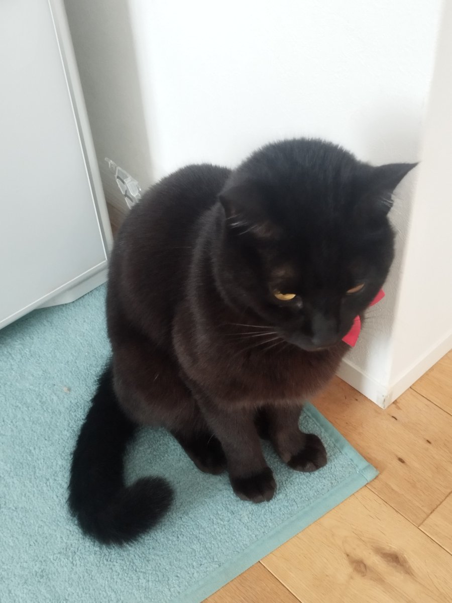 奥羽越（おううえつ）✡❄ ＠かもしか3号 tweet media