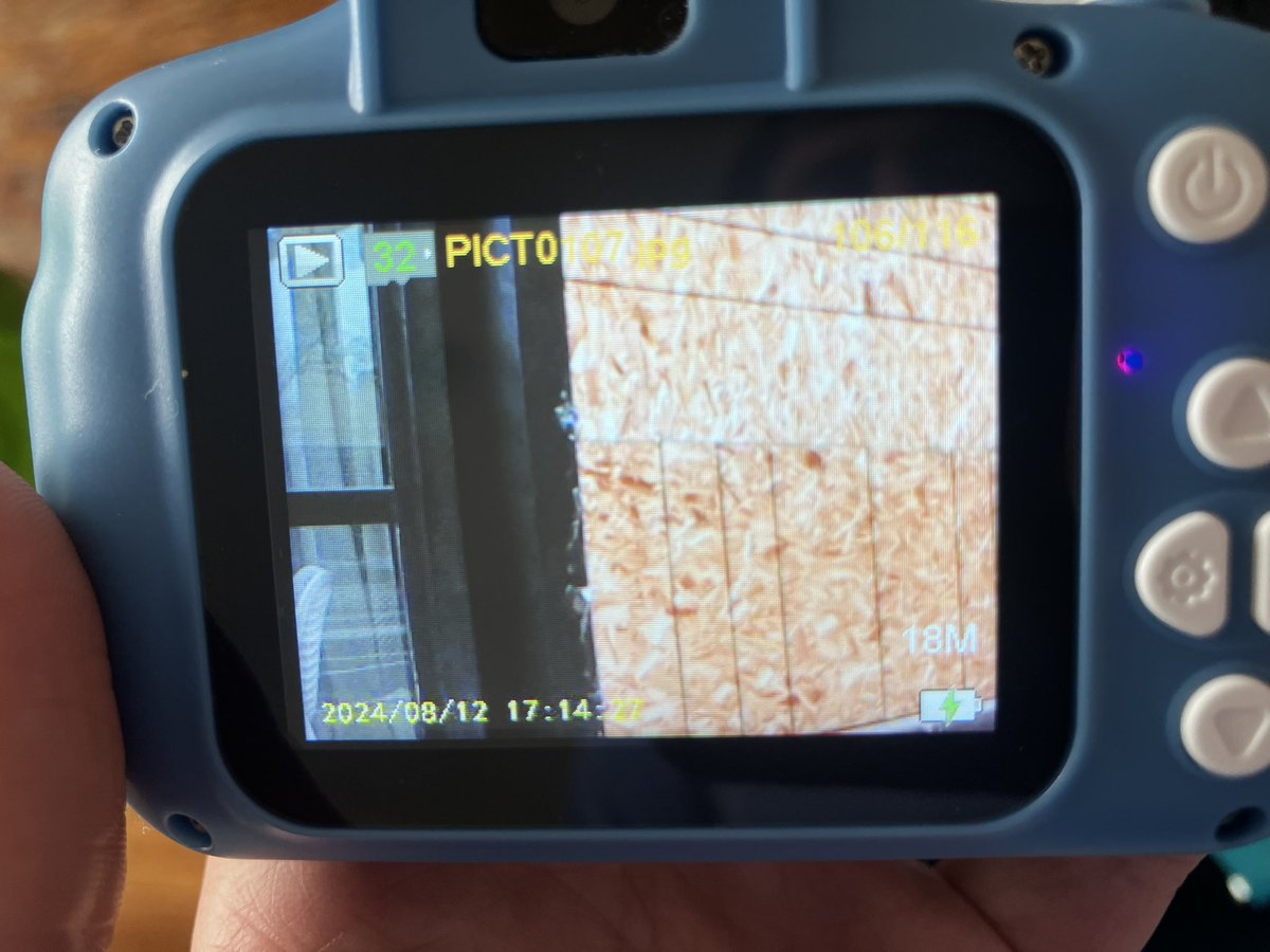 Dan Diamond tweet media