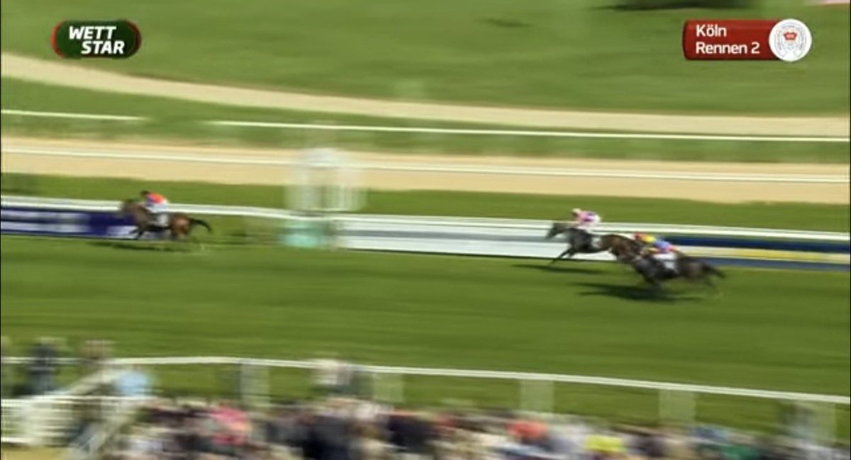 ⒿⓊⓃ tweet media