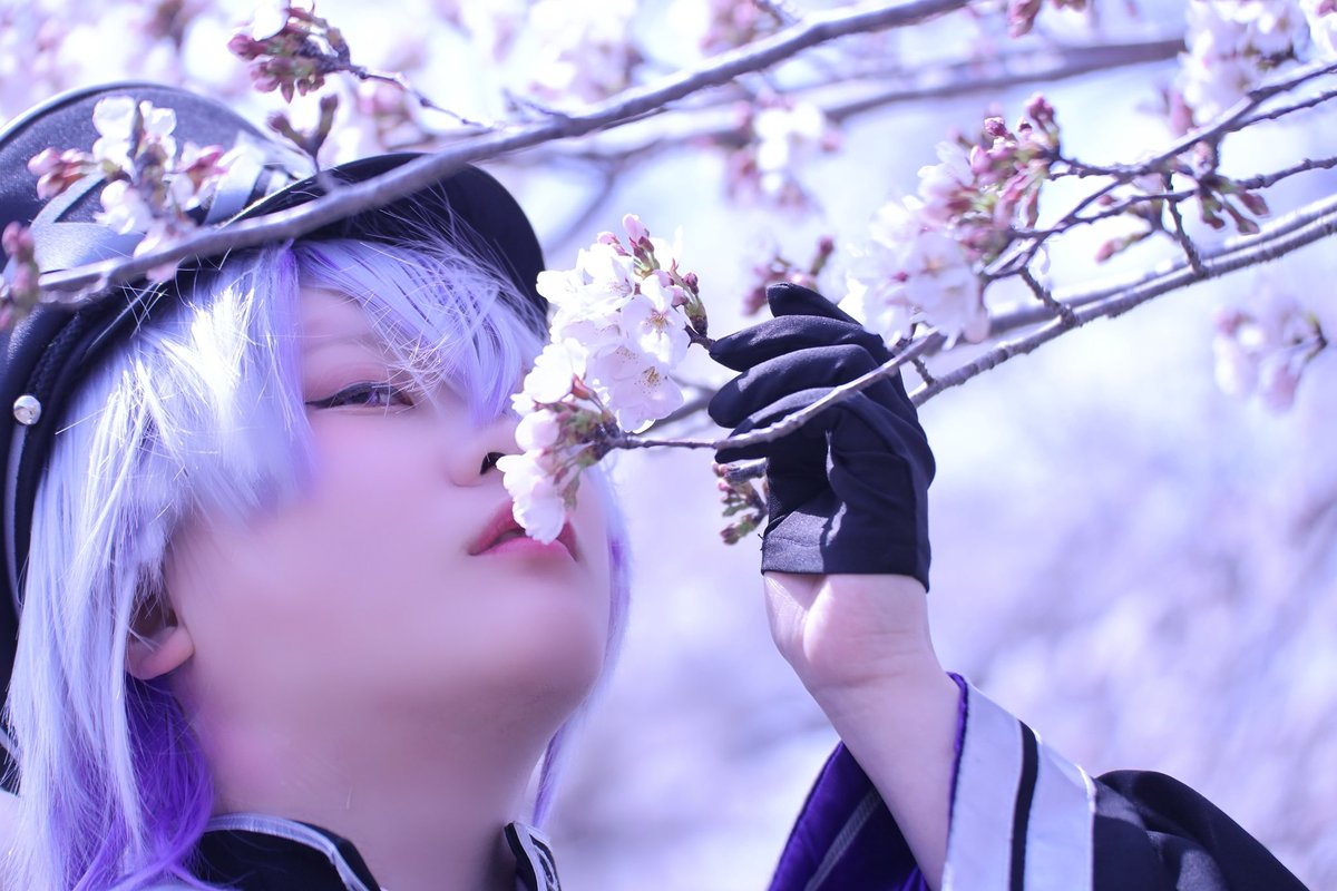 sudati_Sakura's tweet photo. cos.232
turb https://t.co/NsPq0WveFX