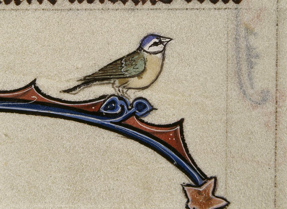 ClerkofOxford's tweet photo. 'When I see blosmes springe,
And hear foules song,
A swete love-longynge
Myn herte thourhout stong,
Al for a love newe
That is so swete and trewe,
That gladieth al my song...'

A medieval springtime poem for Eastertide: https://t.co/lXKwvyuXB1 https://t.co/799WDugNas