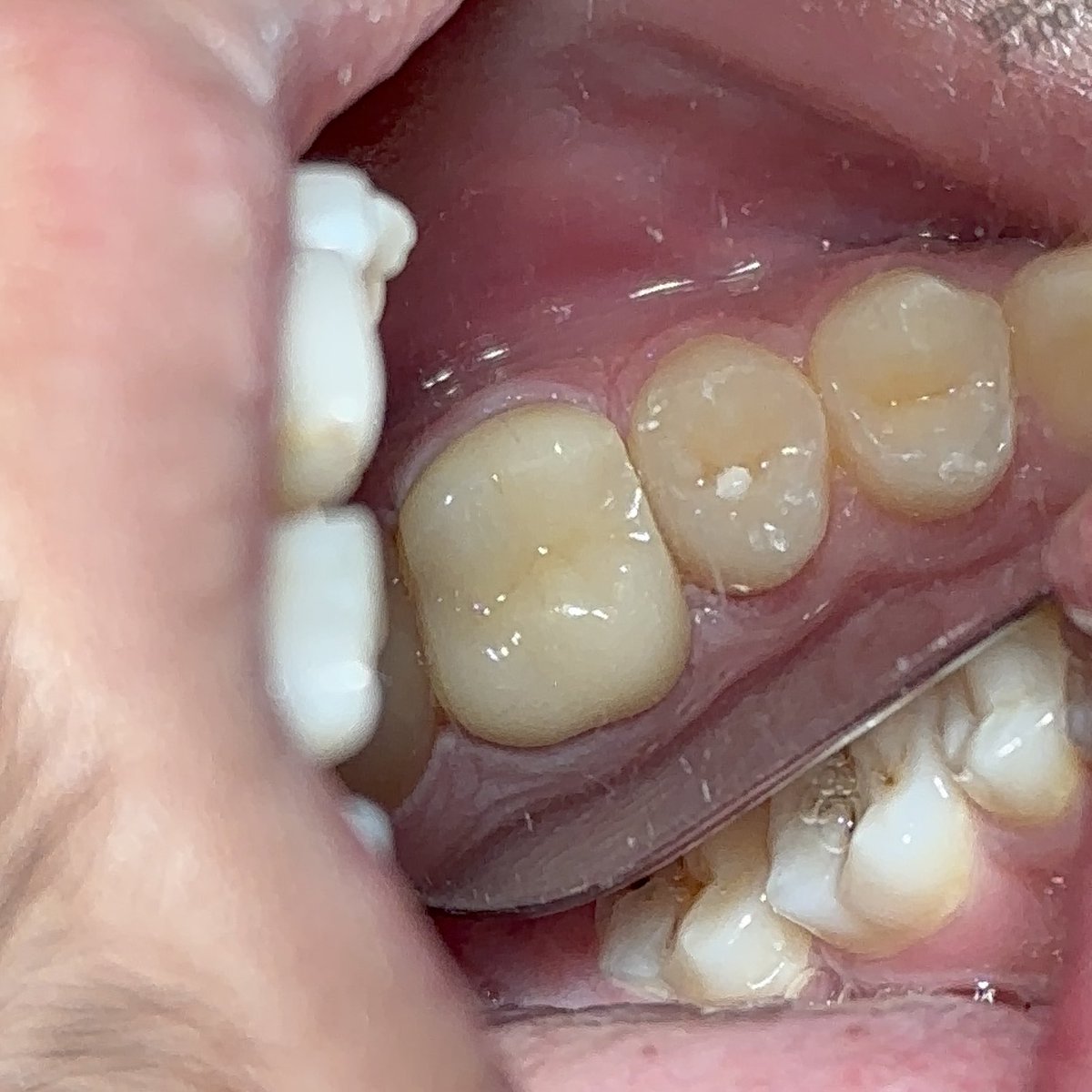 Raghad Almutairi tweet media