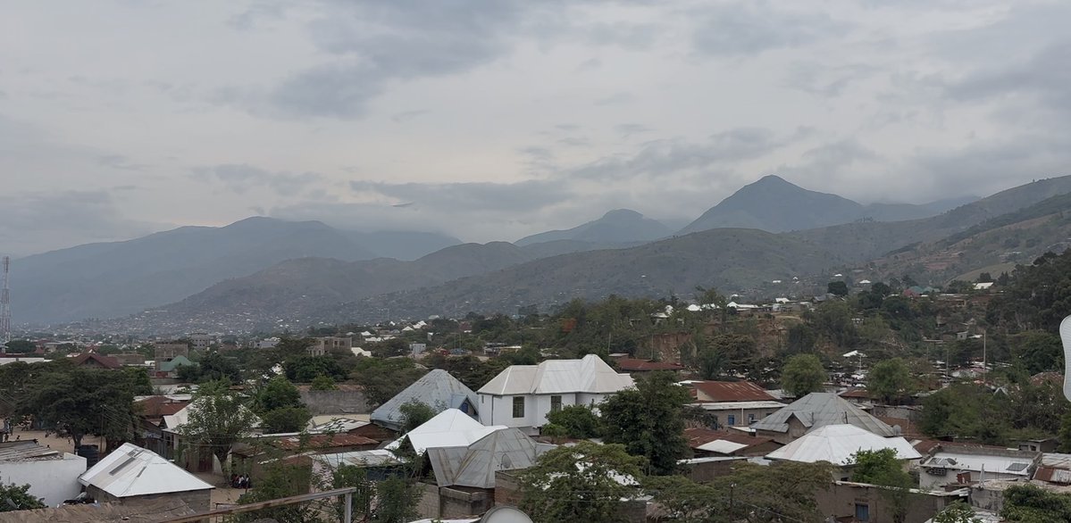 Bojana Coulibaly, Ph.D. tweet media