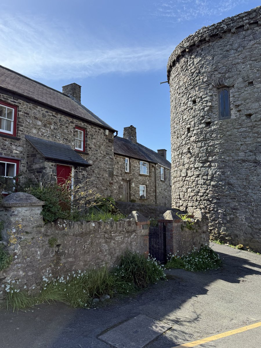 Cat 🏴󠁧󠁢󠁷󠁬󠁳󠁿 tweet media