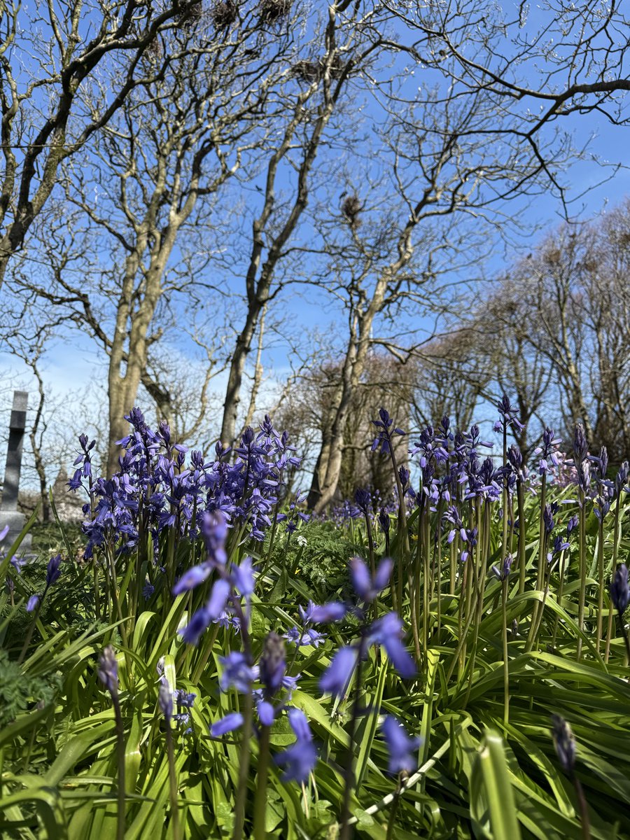 Cat 🏴󠁧󠁢󠁷󠁬󠁳󠁿 tweet media