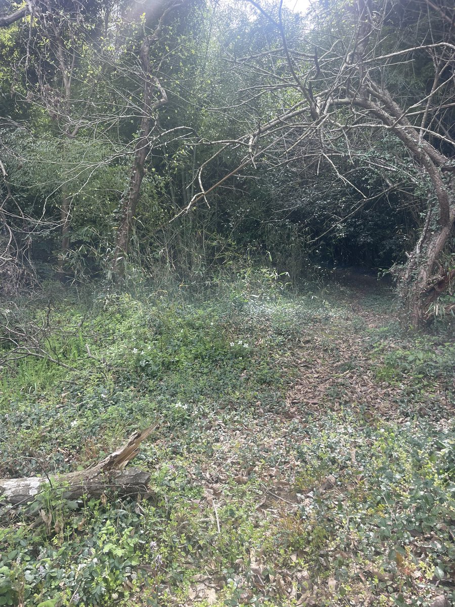 DynamicPapa tweet media