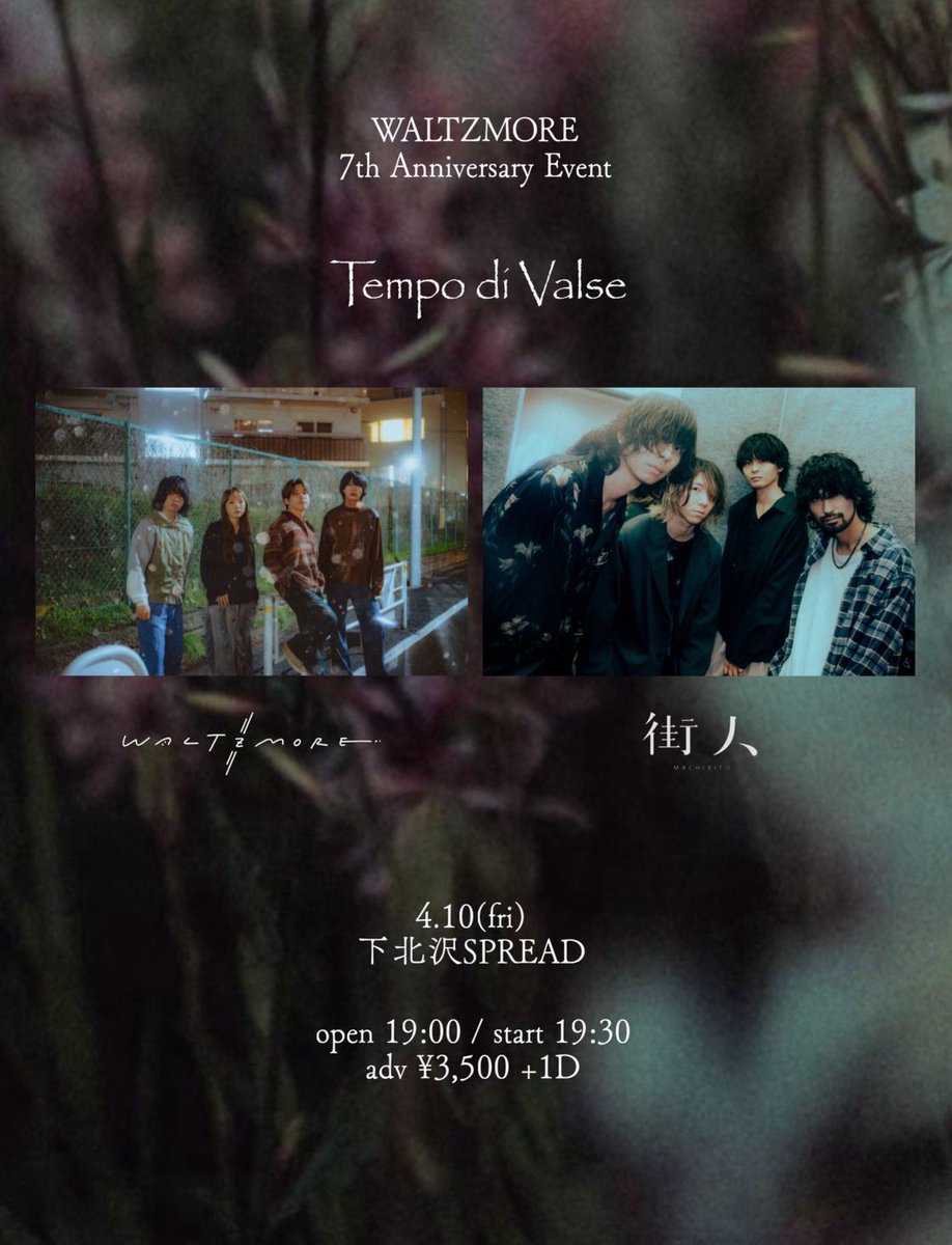 WALTZMORE tweet media